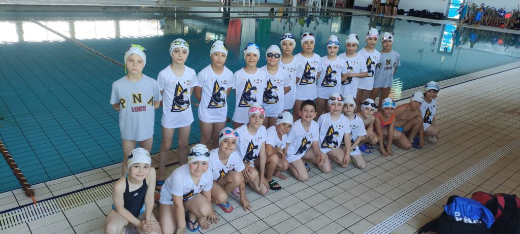 Pinguino Nuoto