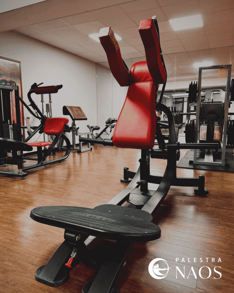 Palestra Naos