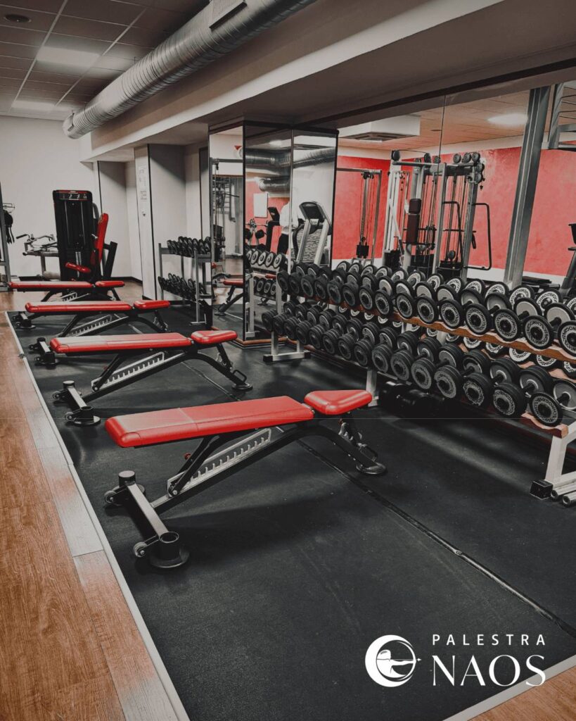 Palestra Naos