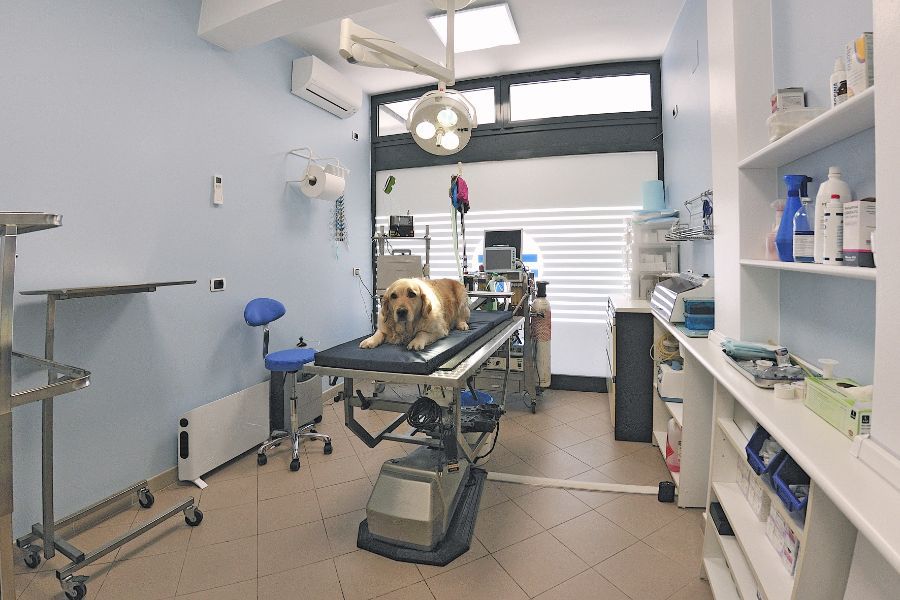 Ambulatorio Veterinario Canali