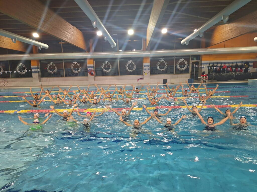 Pinguino Nuoto