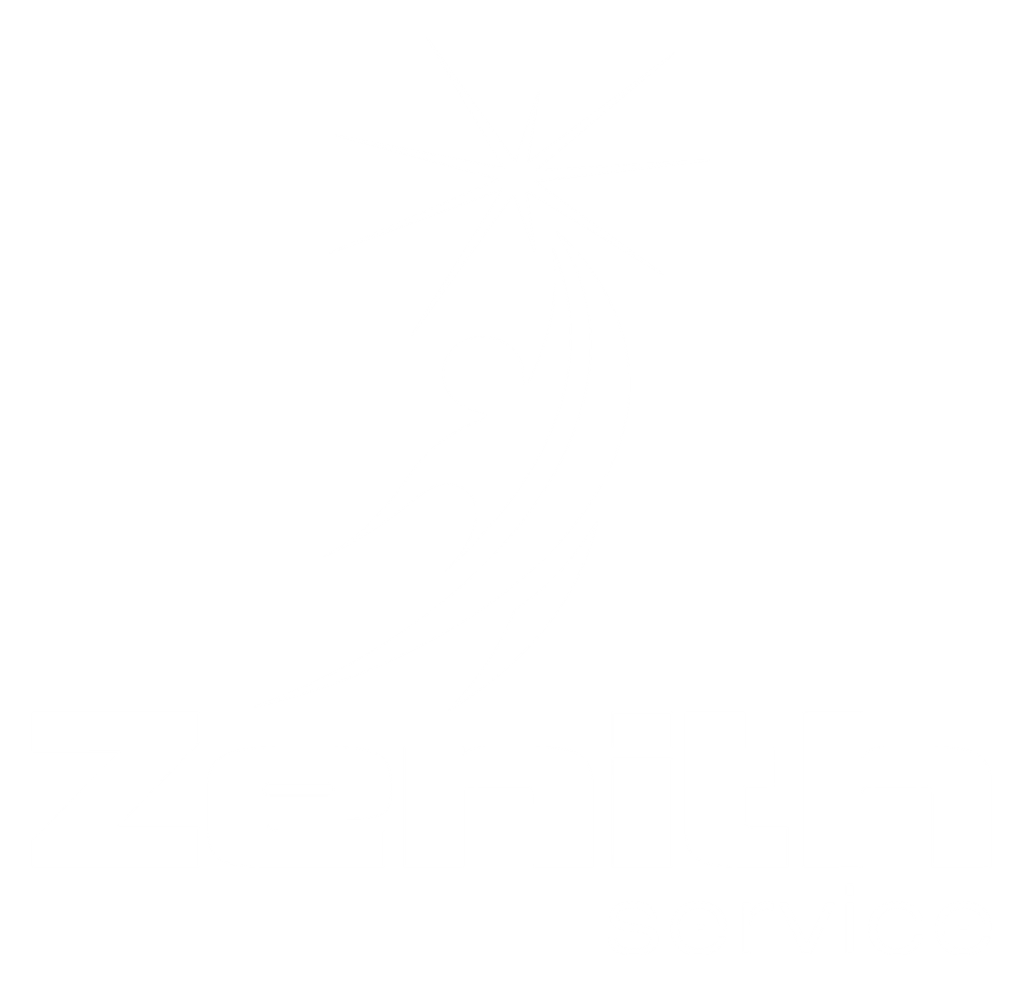 Zenith Service s.r.l..