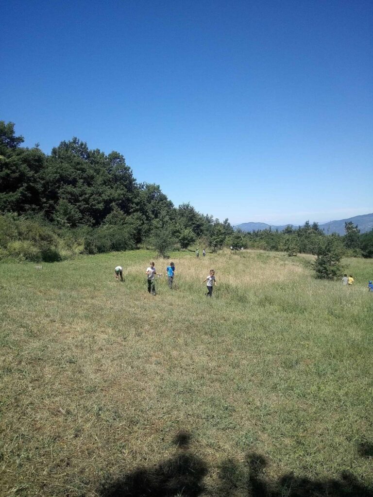 Effetto Foresta