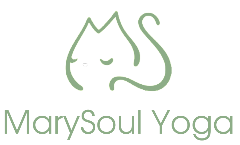 MarySoul Yoga con i gatti