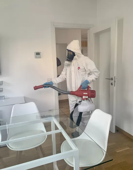 M&CO Disinfestazioni