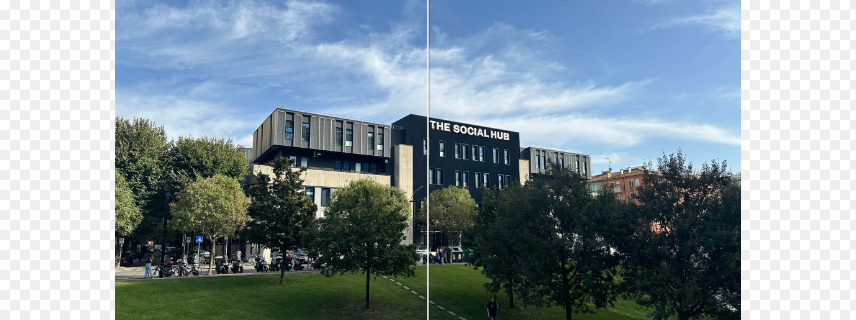 The Social Hub