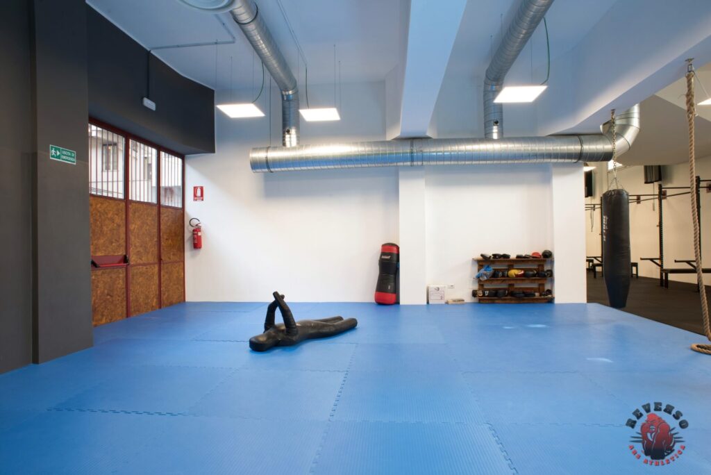 Palestra Reverso Torino