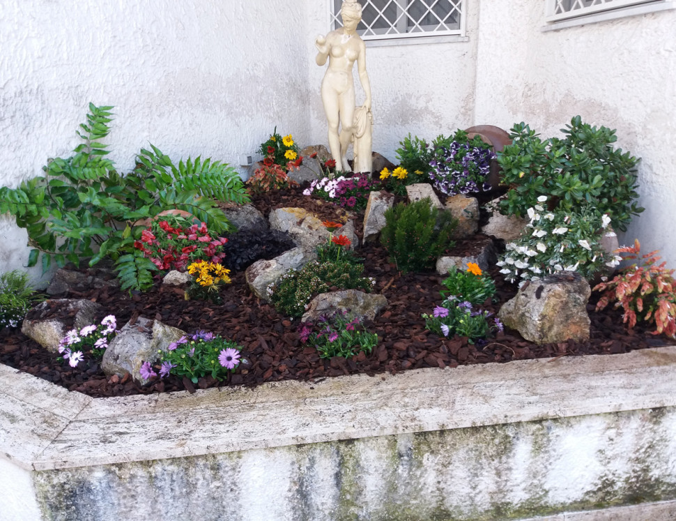 New Garden Services