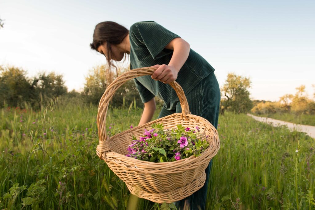 Potentilla | Cosmetici a Base di Piante Selvatiche
