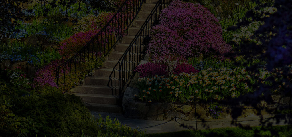 New Garden Services