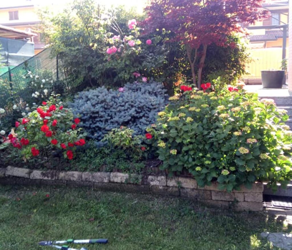 Smile Garden