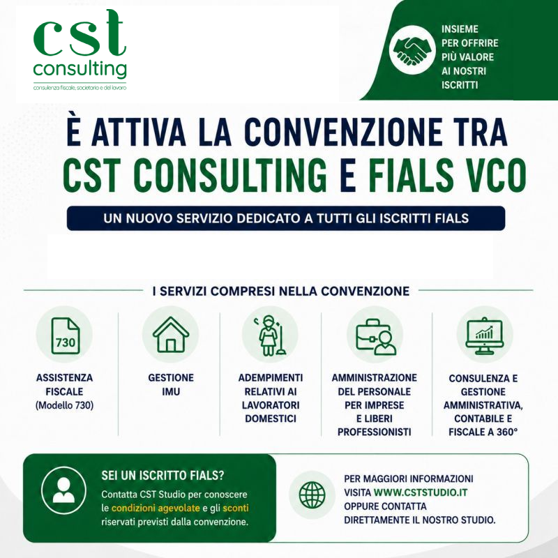CST Consulting