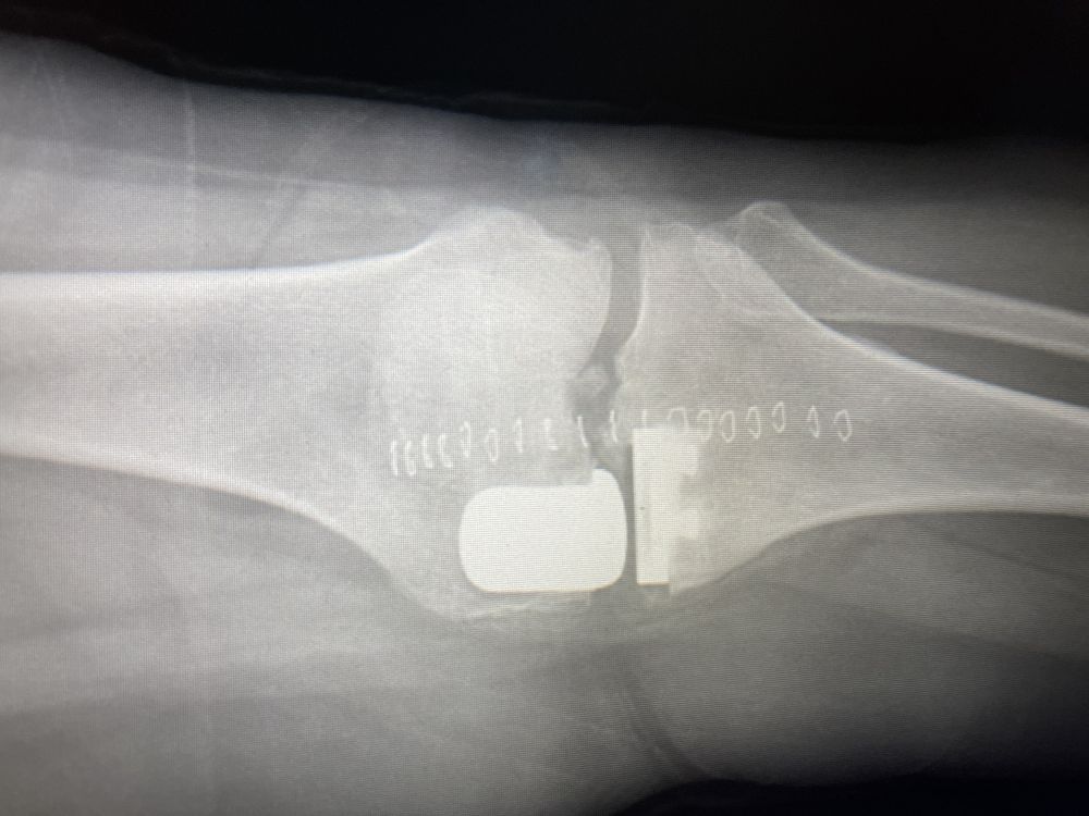 Dott. Calogero Di Naro – Medico Ortopedico