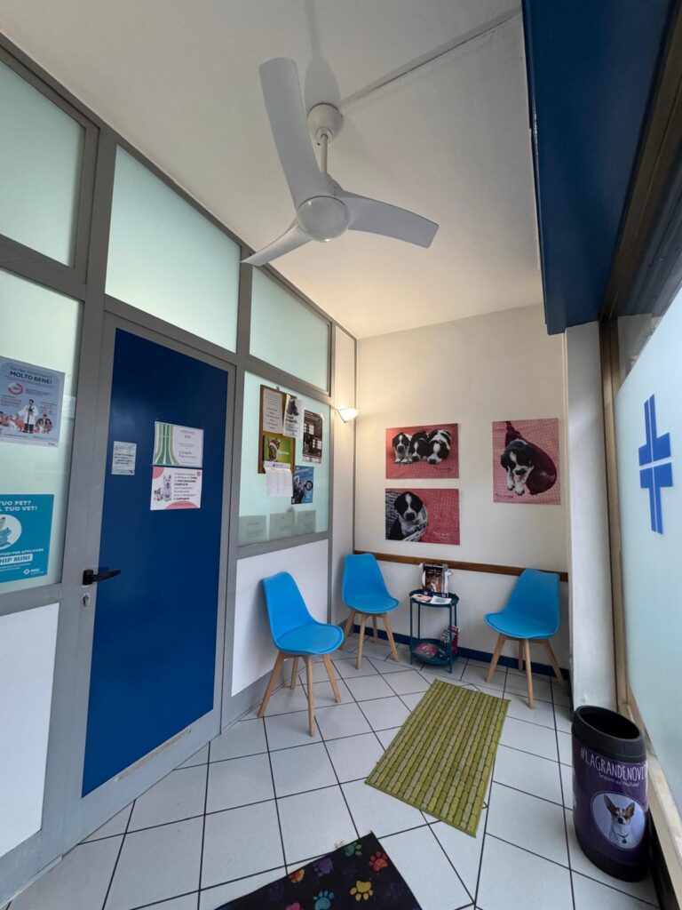 Ambulatorio Veterinario Dott. Gnocchi Giorgio