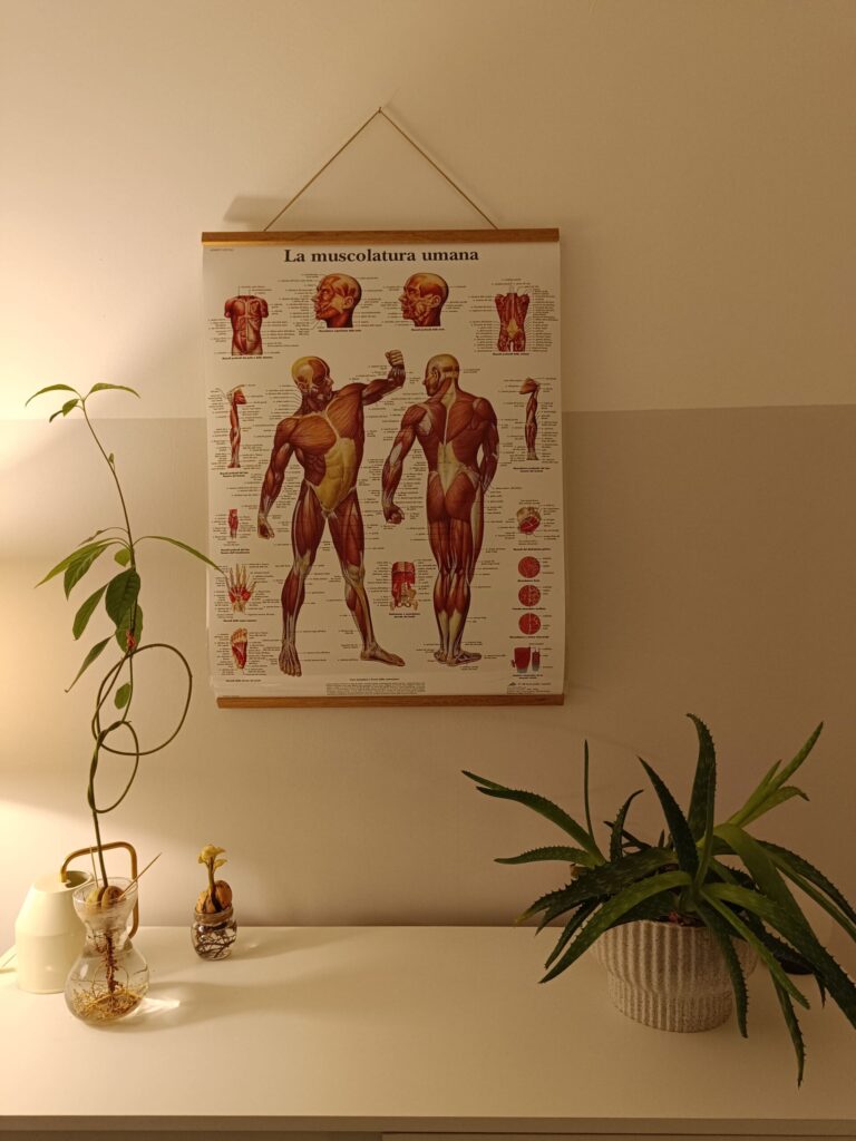 Elena Fumagalli – Osteopata