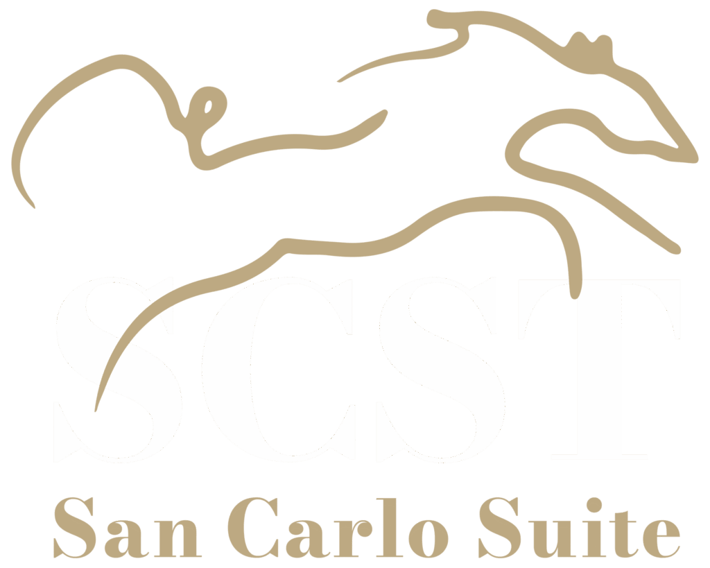 San Carlo Suite Torino
