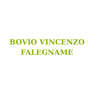 Bovio Vincenzo – Falegname