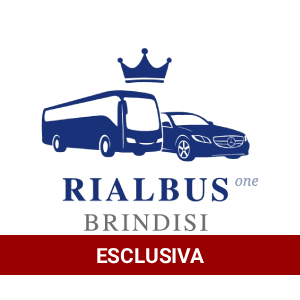 Rialbus One