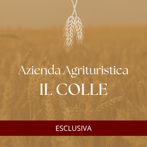 Azienda Agrituristica Il Colle