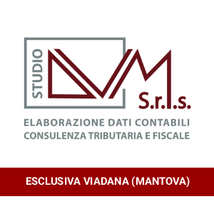 DVM consulenza
