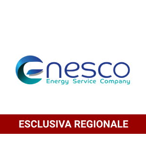 Enesco srl