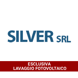 Silver impresa di pulizie