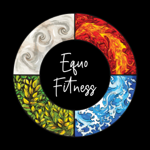 Palestra mobile Equo Fitness di Marco Romeo
