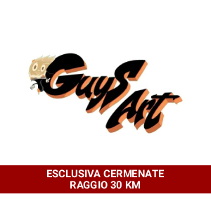 Guys Art di Mario Argenton