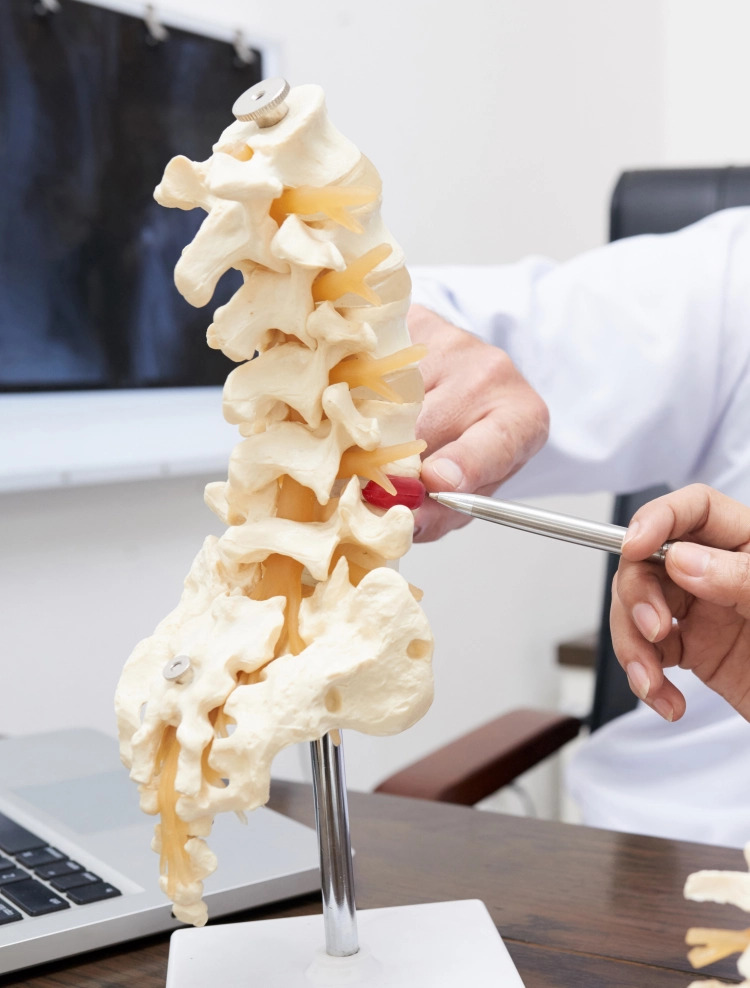 Dott. Luca Balaustra – Osteopata