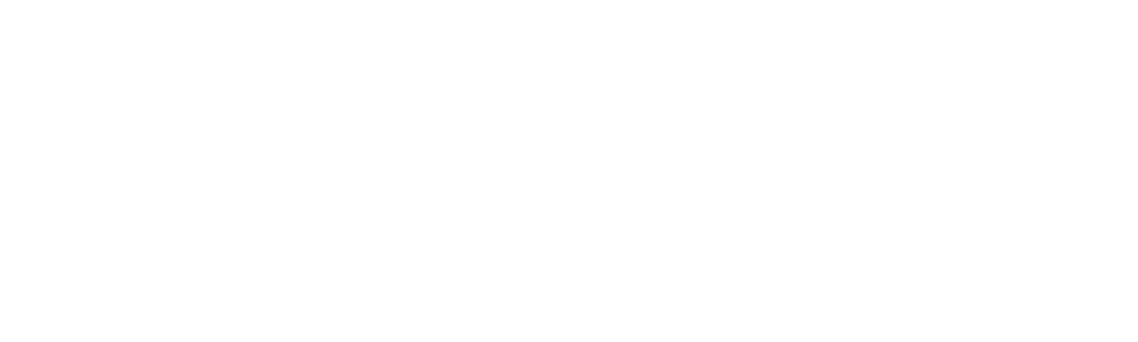 Studio P2B Professionals to business