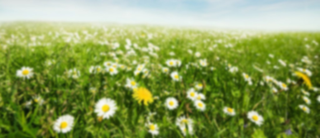 Natura e Benessere