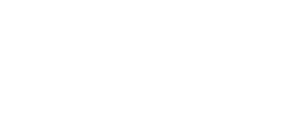 Edil Service Randelli