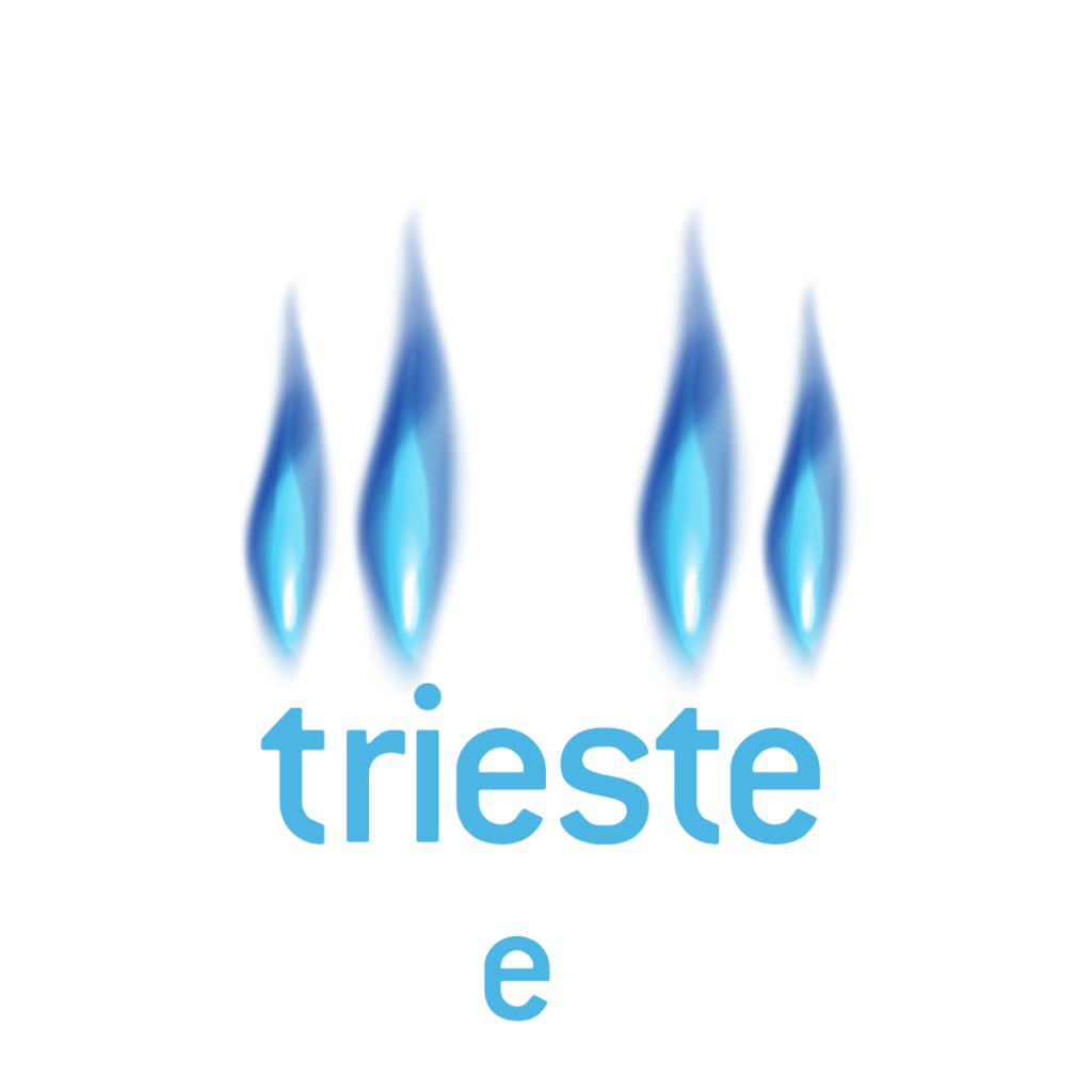 Trieste Gas e Luce – CAT Energy