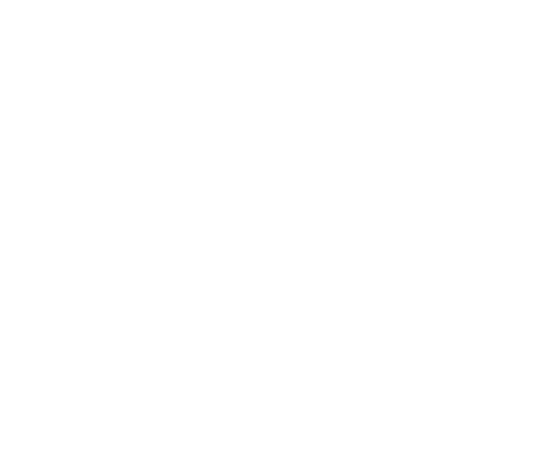 Infortunistica Veneta