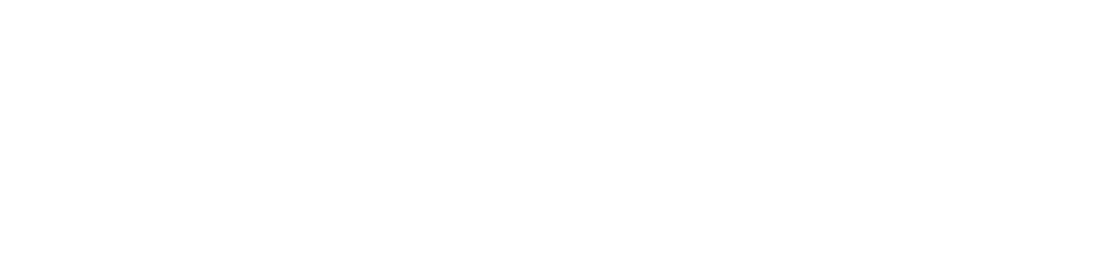 Infortunistica Veneta