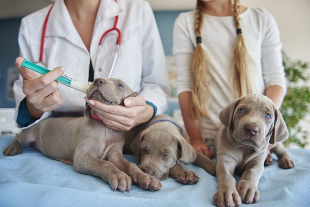 Centro Medico Veterinario Dr.ssa Marilena Scuderi
